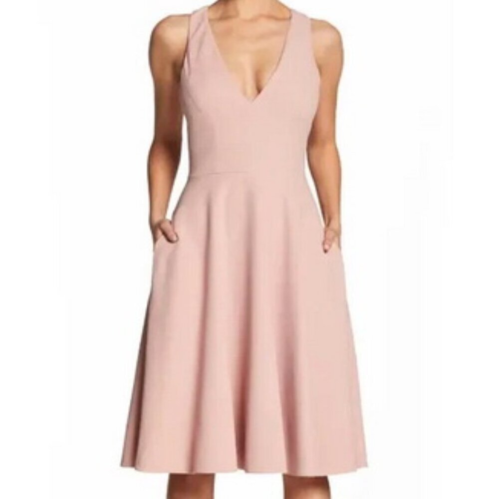 Dress The Population Blush Pink Catalina Fit & Flare Cocktail Dress